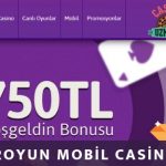 MrOyun mobil casino
